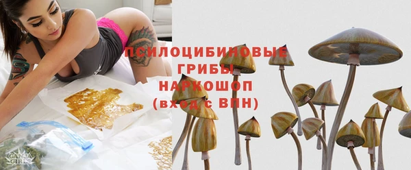 герыч Долгопрудный