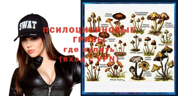 ПСИЛОЦИБИНОВЫЕ ГРИБЫ Магадан