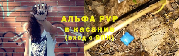 ПСИЛОЦИБИНОВЫЕ ГРИБЫ Магадан