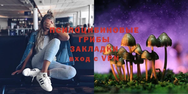 ПСИЛОЦИБИНОВЫЕ ГРИБЫ Магадан