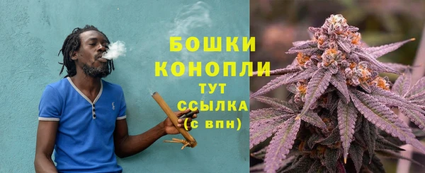 крисы Новый Уренгой