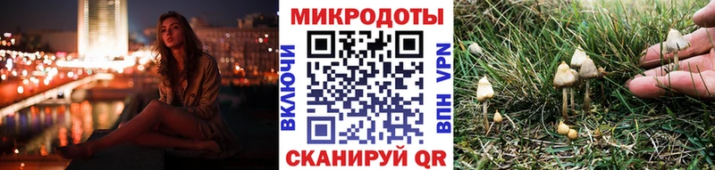 Псилоцибиновые грибы Cubensis  Шиханы 